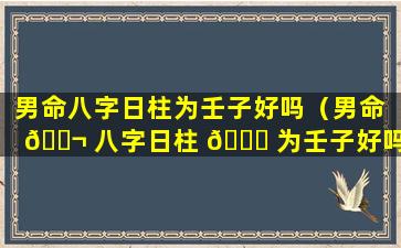 男命八字日柱为壬子好吗（男命 🐬 八字日柱 🍁 为壬子好吗婚姻如何）